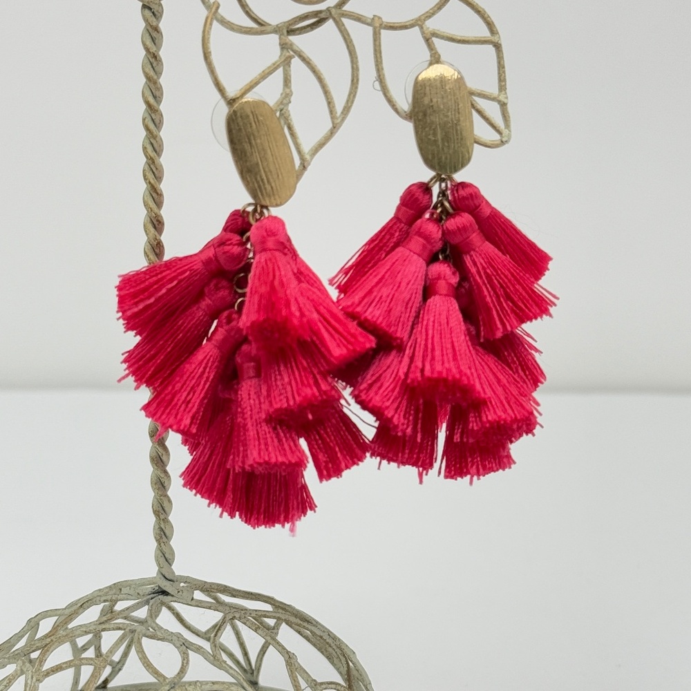 Fringe Party Earrings, New